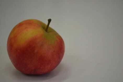 Apple on grey background