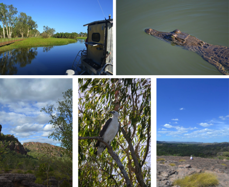 Kakadu