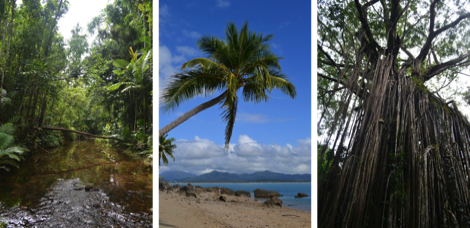 Places to visit in Queensland, Australia