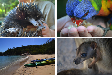 Places to visit in Queensland, Australia