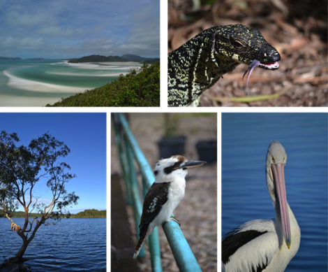 Places to visit in Queensland, Australia