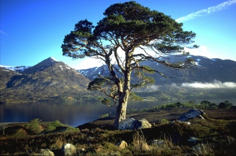 Loch Affric
