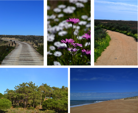 Formosa, Algarve, Portugal