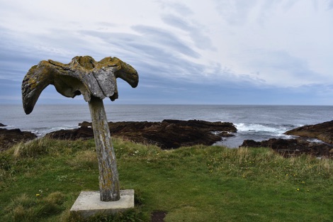 Whalebone, Orkney