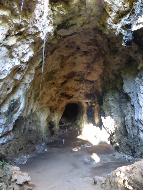 Cove des Coloms