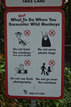 don't feed the monkeys