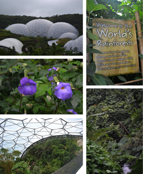 Eden Project