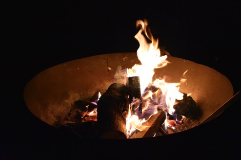 Vivianna fire pit, Treeopia