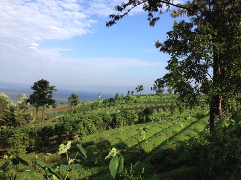 Virunga landscape