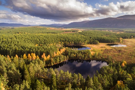 Glenfeshie