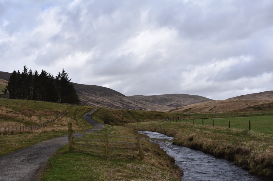 Tarras Valley Nature Reserve