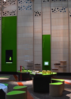 Pilke forest exhibits